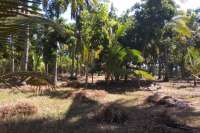 Beachfront Land In Lombok For Sale