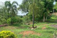 Land plot with Small Two Storey House